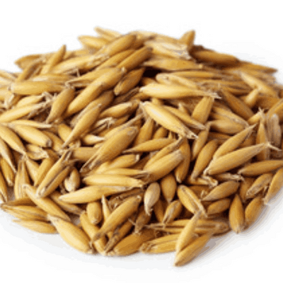 Oat Kernel Extract