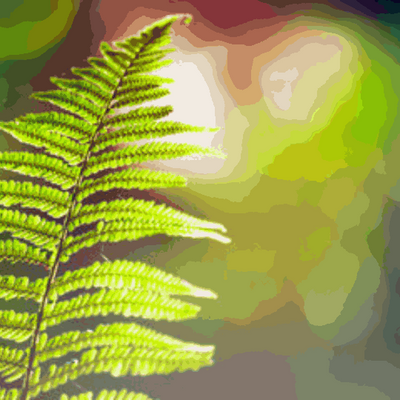 Polypodium Leucotomos
